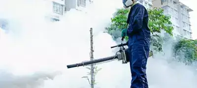 Serviços Serviços